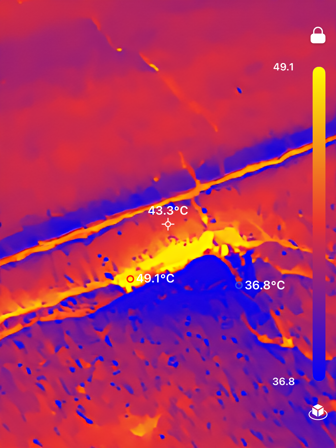 Thermal Image 2